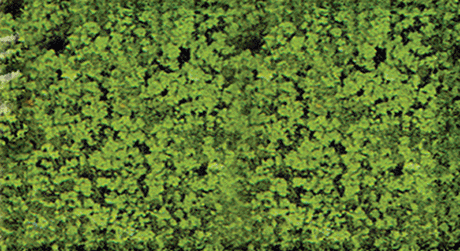 Foliage Pad - 11 x 5-1/2"  27.9 x 14cm -- Medium Green-1