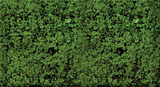 Foliage Pad - 11 x 5-1/2"  27.9 x 14cm -- Dark Green-1