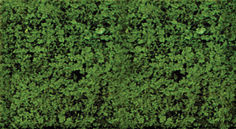 Foliage Pad - 11 x 5-1/2"  27.9 x 14cm -- Dark Green-1