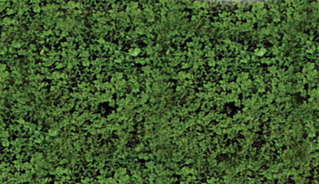 Foliage Pad - 11 x 5-1/2"  27.9 x 14cm -- Dark Green-2