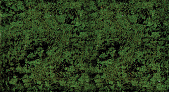 Foliage Pad - 11 x 5-1/2"  27.9 x 14cm -- Conifer Green-1