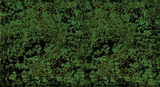 Foliage Pad - 11 x 5-1/2"  27.9 x 14cm -- Conifer Green-1