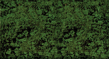 Foliage Pad - 11 x 5-1/2"  27.9 x 14cm -- Conifer Green-1