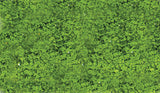 Foliage Pad - 11 x 5-1/2"  27.9 x 14cm -- Spring Green-2