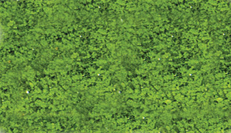 Foliage Pad - 11 x 5-1/2"  27.9 x 14cm -- Spring Green-2