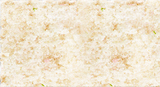 Foliage Pad - 11 x 5-1/2"  27.9 x 14cm -- White Blossom-1