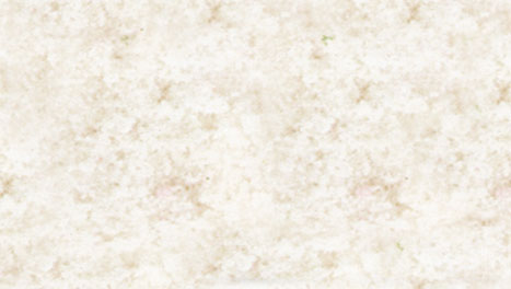 Foliage Pad - 11 x 5-1/2"  27.9 x 14cm -- White Blossom-2
