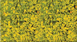 Foliage Pad - 11 x 5-1/2"  27.9 x 14cm -- Goldenrod Yellow-1