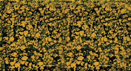 Foliage Pad - 11 x 5-1/2"  27.9 x 14cm -- Fall Amber-1