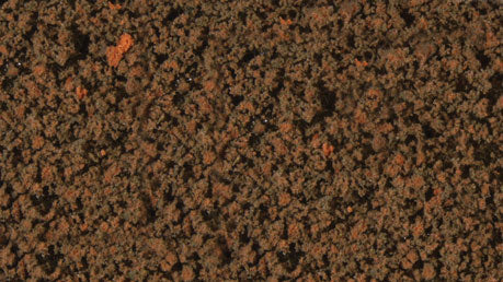 Foliage Pad - 11 x 5-1/2"  27.9 x 14cm -- Fall Amber-2