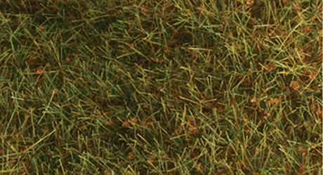 Wild Grass Pad - 11 x 5-1/2"  27.4 x 14cm -- Savannah Green