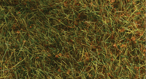 Wild Grass Pad - 11 x 5-1/2"  27.4 x 14cm -- Savannah Green