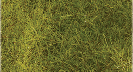Wild Grass Pad - 11 x 5-1/2"  27.4 x 14cm -- Meadow Green