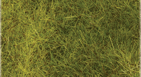 Wild Grass Pad - 11 x 5-1/2"  27.4 x 14cm -- Meadow Green