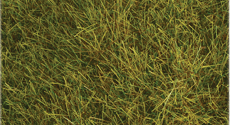 Wild Grass Pad - 11 x 5-1/2"  27.4 x 14cm -- Pasture Green