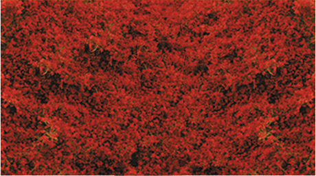 Decograss(R) Pad 11 x 5-1/2"  28 x 14cm -- Red Clover