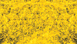 Decograss(R) Pad 11 x 5-1/2"  28 x 14cm -- Goldenrod