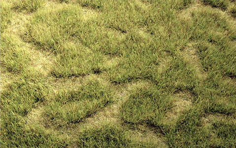 Tuftgrass(R) Pad - 17-1/2 x 6-1/2"  44.5 x 16.5cm -- Spring