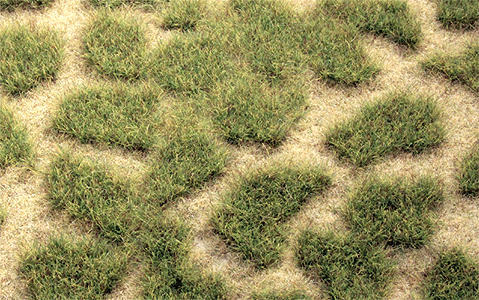 Tuftgrass(R) Pad - 17-1/2 x 6-1/2"  44.5 x 16.5cm -- Summer