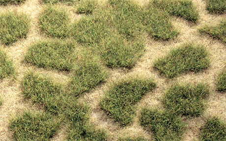 Tuftgrass(R) Pad - 17-1/2 x 6-1/2"  44.5 x 16.5cm -- Summer