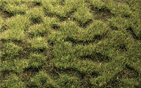 Tuftgrass(R) Pad - 17-1/2 x 6-1/2"  44.5 x 16.5cm -- Moorland