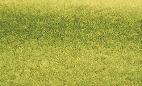 Tuftgrass(R) Pad - 17-1/2 x 6-1/2"  44.5 x 16.5cm -- Meadow Green