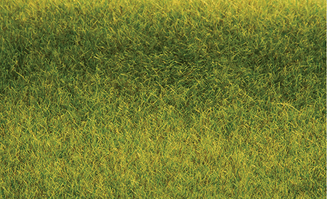 Tuftgrass(R) Pad - 17-1/2 x 6-1/2"  44.5 x 16.5cm -- Pasture Green