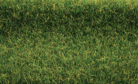 Tuftgrass(R) Pad - 17-1/2 x 6-1/2"  44.5 x 16.5cm -- Summer Green