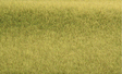 Tuftgrass(R) Pad - 17-1/2 x 6-1/2"  44.5 x 16.5cm -- Savannah Green