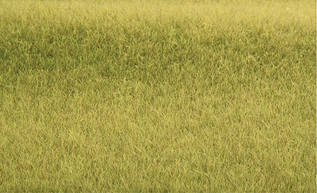 Tuftgrass(R) Pad - 17-1/2 x 6-1/2"  44.5 x 16.5cm -- Savannah Green