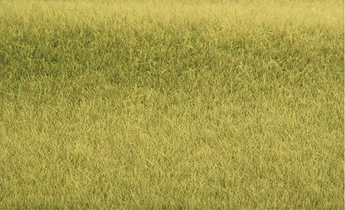 Tuftgrass(R) Pad - 17-1/2 x 6-1/2"  44.5 x 16.5cm -- Savannah Green