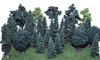 Assorted Trees -- 2-1/2 to 4"  6.4 to 10.2cm pkg(30)