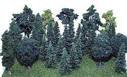Assorted Trees -- 2-1/2 to 4"  6.4 to 10.2cm pkg(30)
