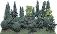 Assorted Trees -- 3 to 5"  7.6 to 12.7cm pkg(24)-1