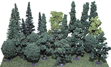 Assorted Trees -- 3 to 5"  7.6 to 12.7cm pkg(24)-1