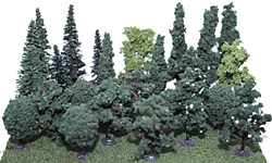 Assorted Trees -- 3 to 5"  7.6 to 12.7cm pkg(24)-1
