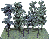 Assorted Shade Trees -- 4 to 7"  10.2 to 17.8cm pkg(12)