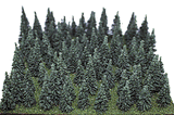 Assorted Pine Trees -- 1-1/2 to 3"  3.8 to 7.6cm pkg(100)-1