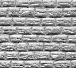 Field stone 3-1/2 x 18"