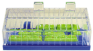 Greenhouse