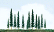 Pine Trees -- 4-6" 10.2 - 15.2cm pkg(24)