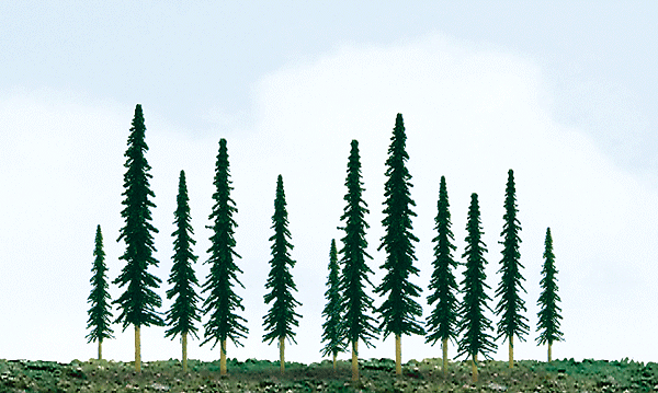 Pine Trees -- 4-6" 10.2 - 15.2cm pkg(24)