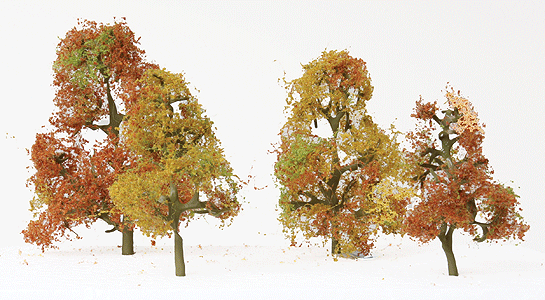 Premium Deciduous Trees -- Autumn Sycamore pkg(4)