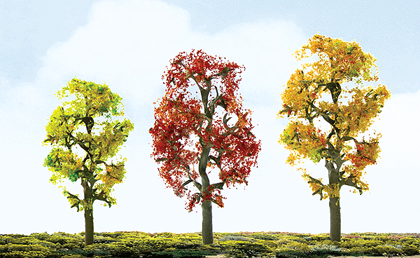 Premium Deciduous Trees -- Autumn Maple pkg(2)