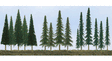 Evergreen Tree Bulk Pack -- 2-1/2 to 6"  6.4 to 15.2cm pkg(45)