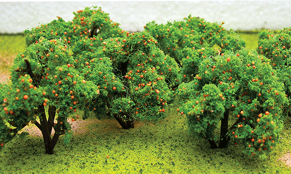 Fruit Grove Tree 6-Pack -- Orange - 2 to 2-1/2"  5.1 to 6.4cm pkg