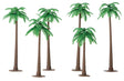 Palm Trees - Super Scenic Series -- 3 to 5"  7.6 to 12.7cm pkg(6)