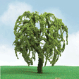 Willow Trees - Pro Elite -- 1-3/4 - 2"  1.5 - 5.1cm pkg(3)