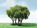 Privet Trees -- 1-3/4 - 2"  4.4 - 5.1cm Tall pkg(3)-2