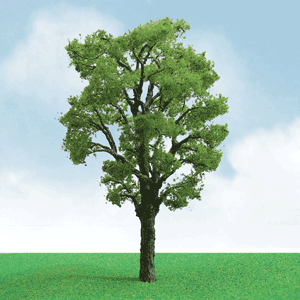 Chestnut Trees - Pro Elite -- 2 to 2-1/4"  5.1 to 5.7cm pkg(3)